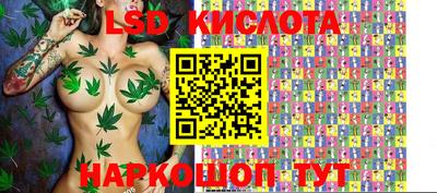 крисы Краснознаменск