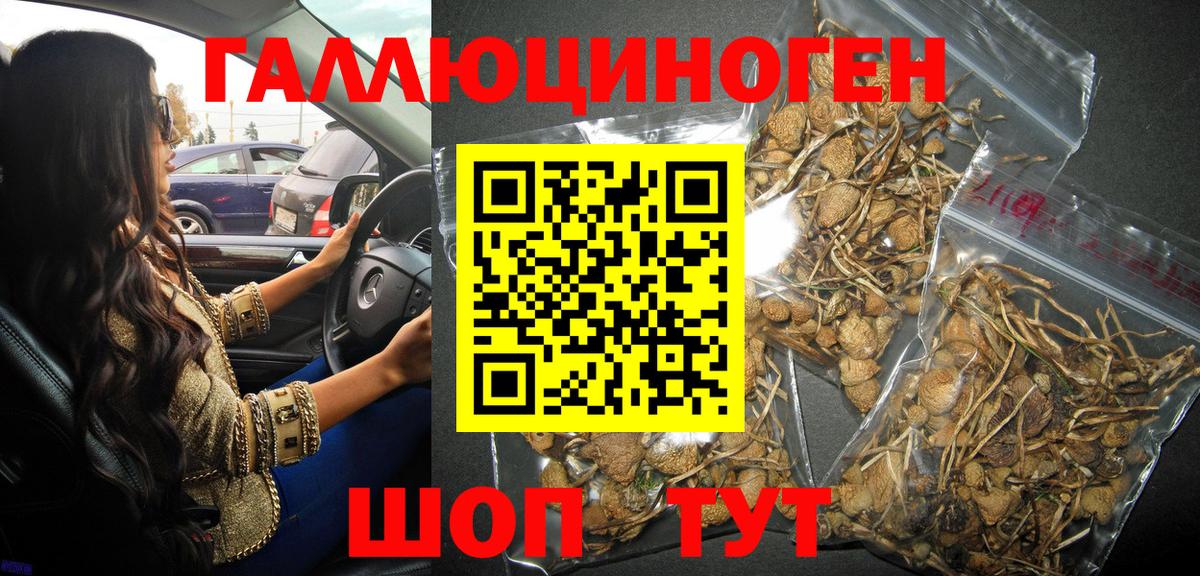 Псилоцибиновые грибы Magic Shrooms  Вход с VPN  Когалым 
