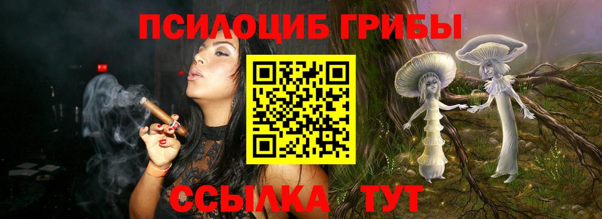 Галлюциногенные грибы мухоморы Когалым